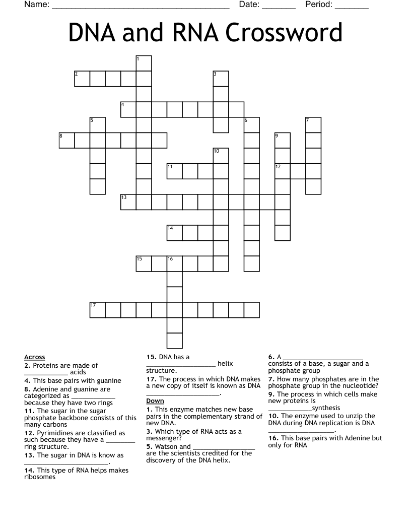 DNA and RNA Crossword