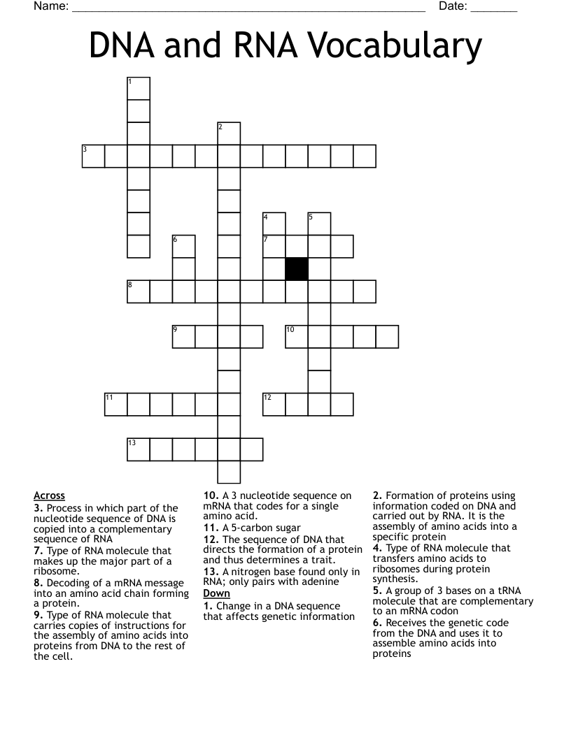 DNA and RNA Vocabulary Crossword