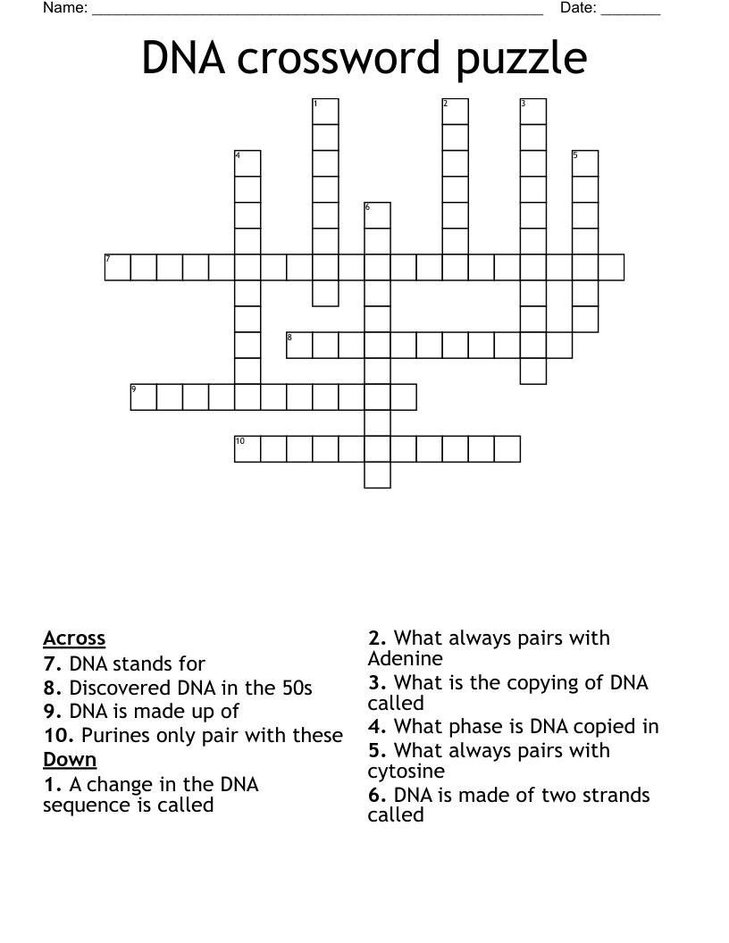 DNA crossword puzzle 