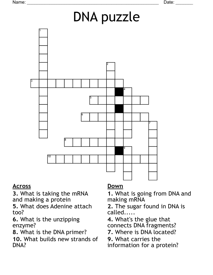 DNA puzzle Crossword