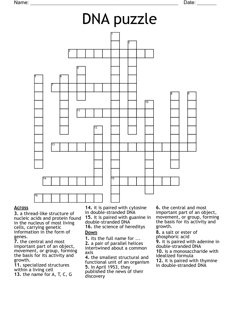 DNA puzzle Crossword