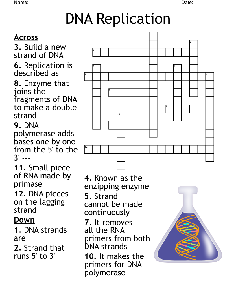 DNA Replication Crossword