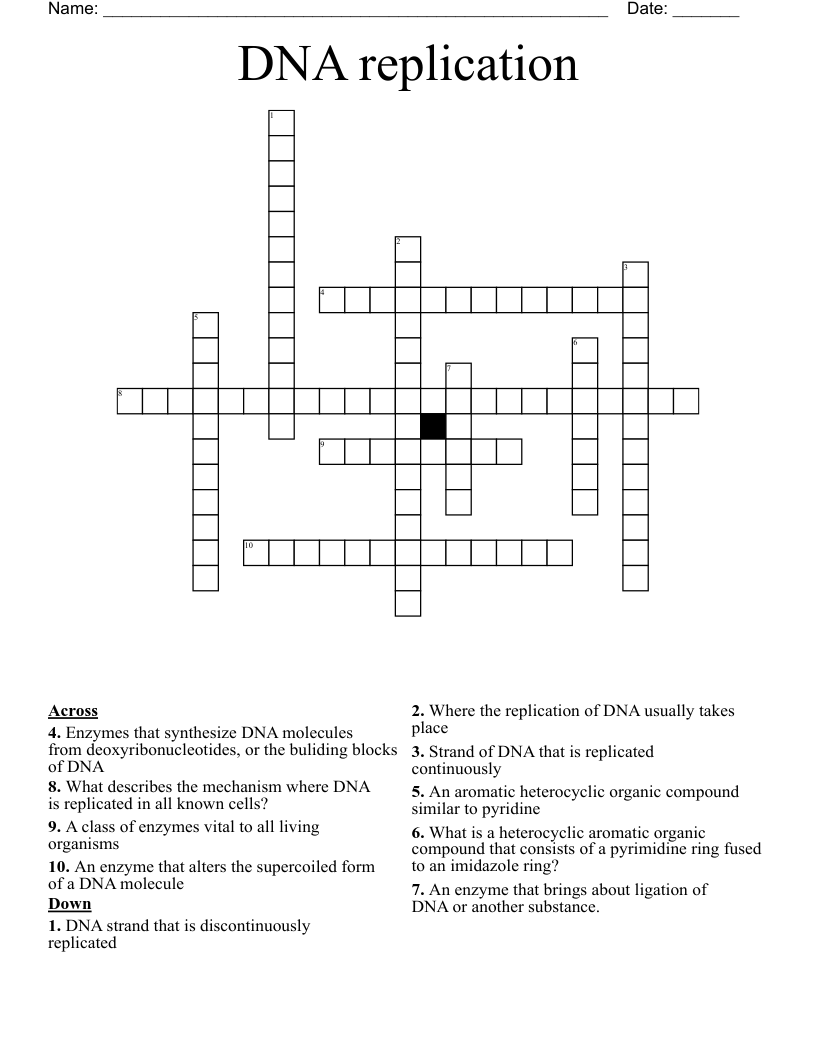 DNA replication  Crossword
