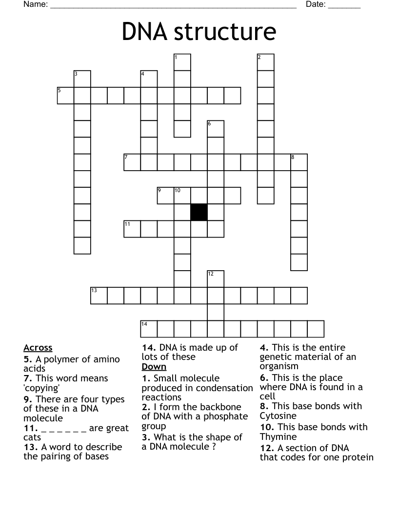 DNA structure Crossword