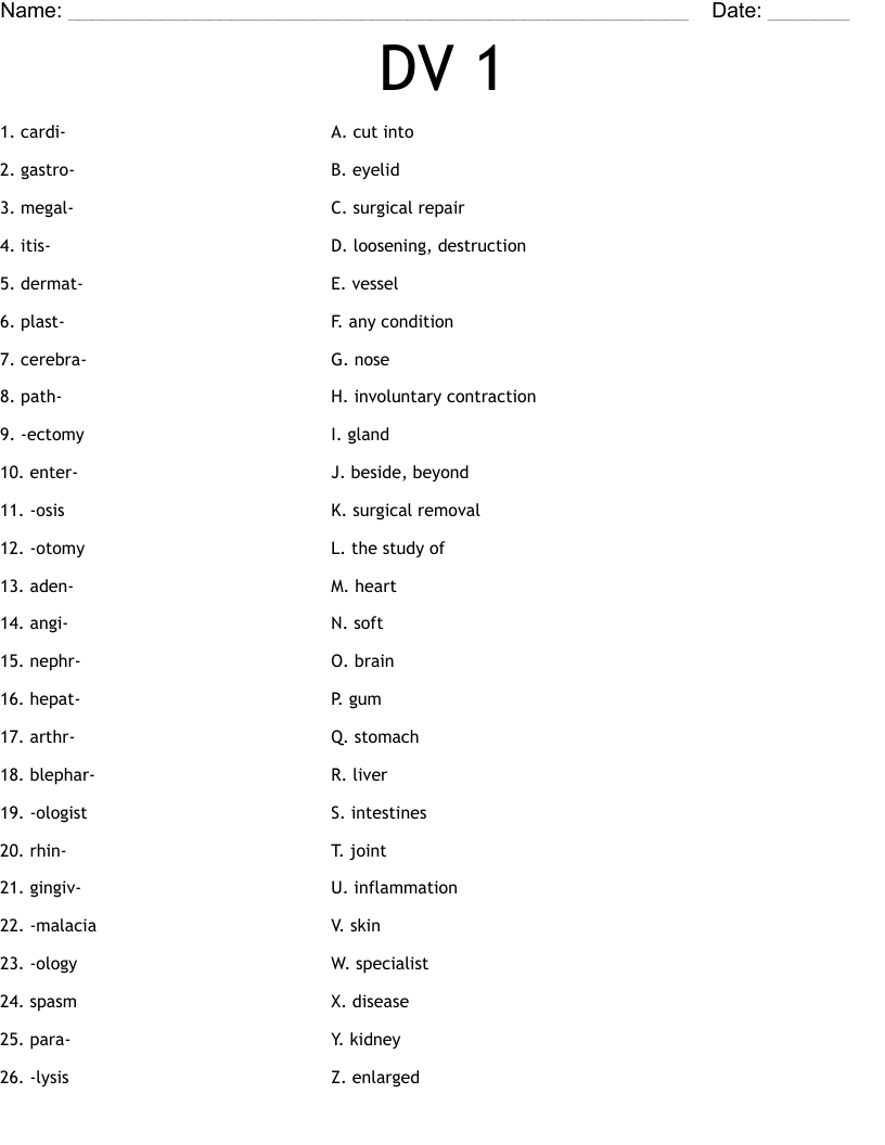DV 1 Worksheet
