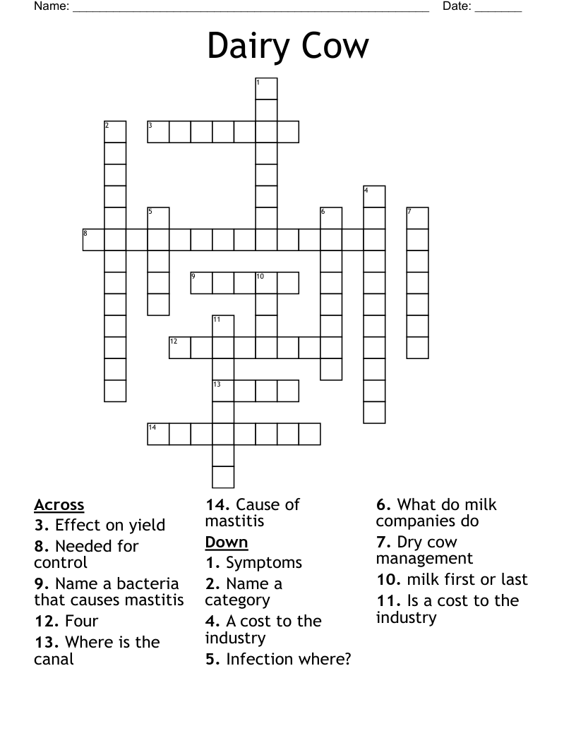 Dairy Cow Crossword