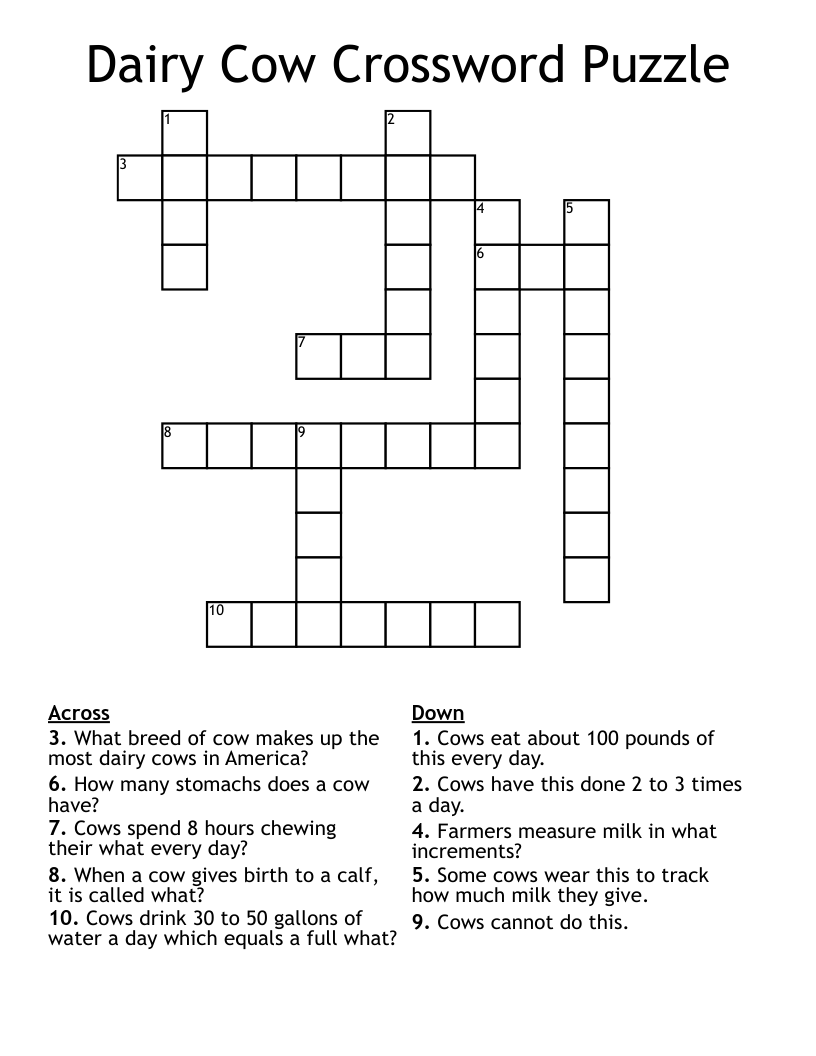 Dairy Cow Crossword Puzzle