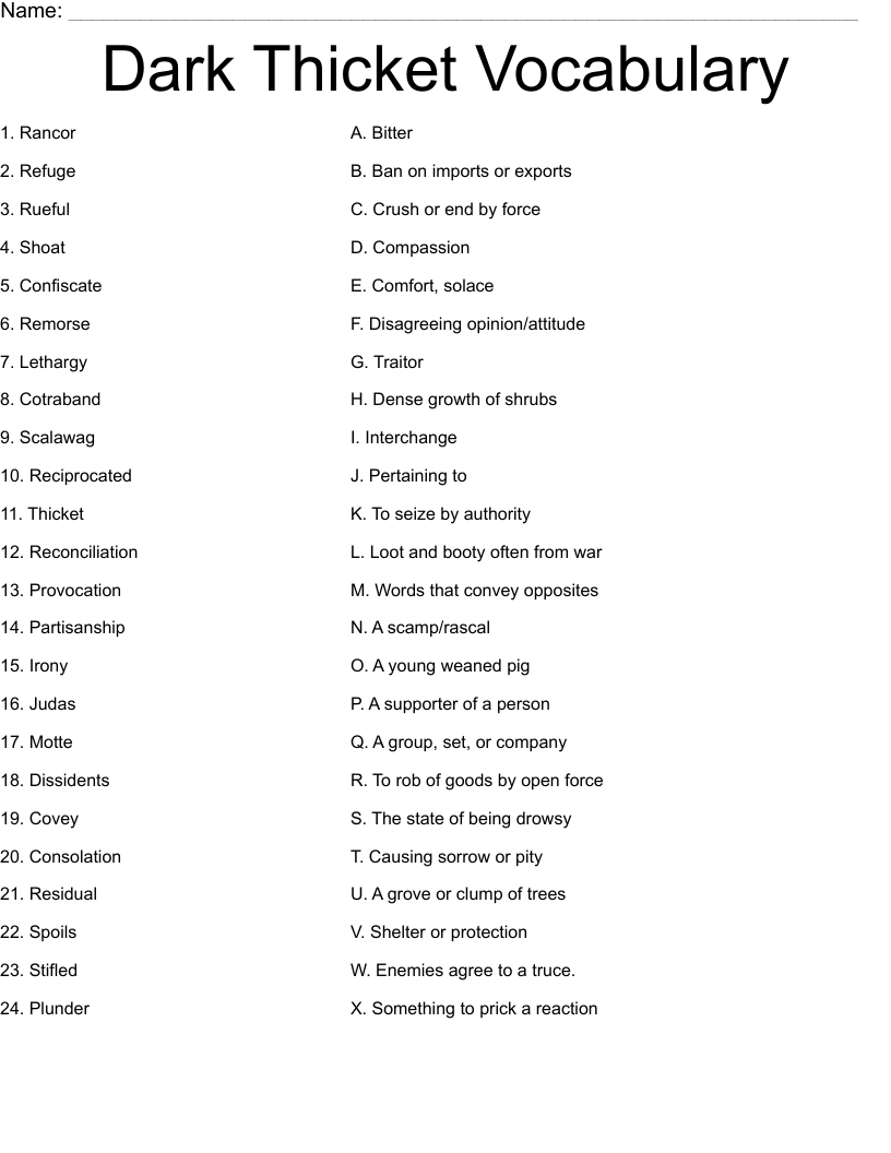 Dark Thicket Vocabulary  Worksheet