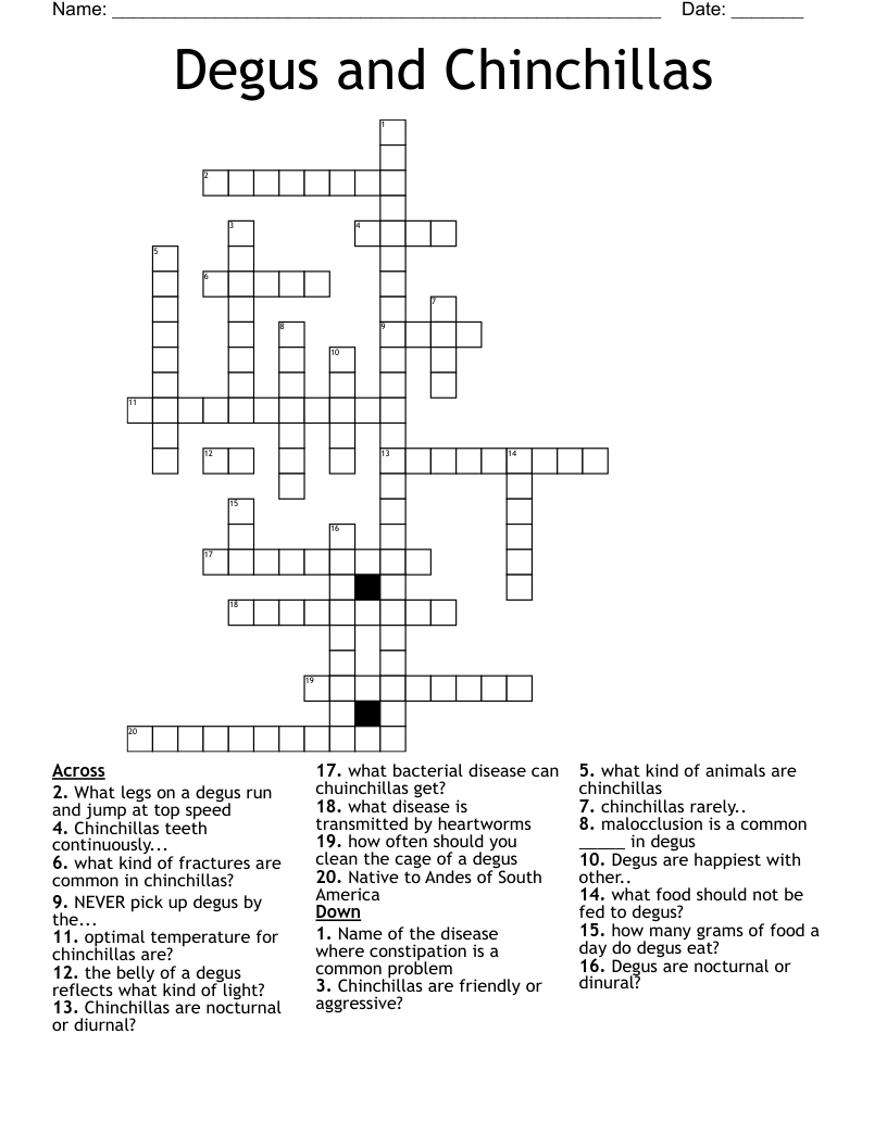 Degus and Chinchillas Crossword
