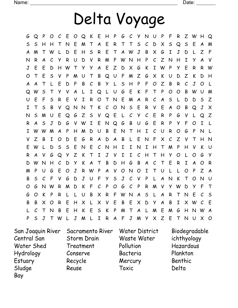 Delta Voyage Word Search
