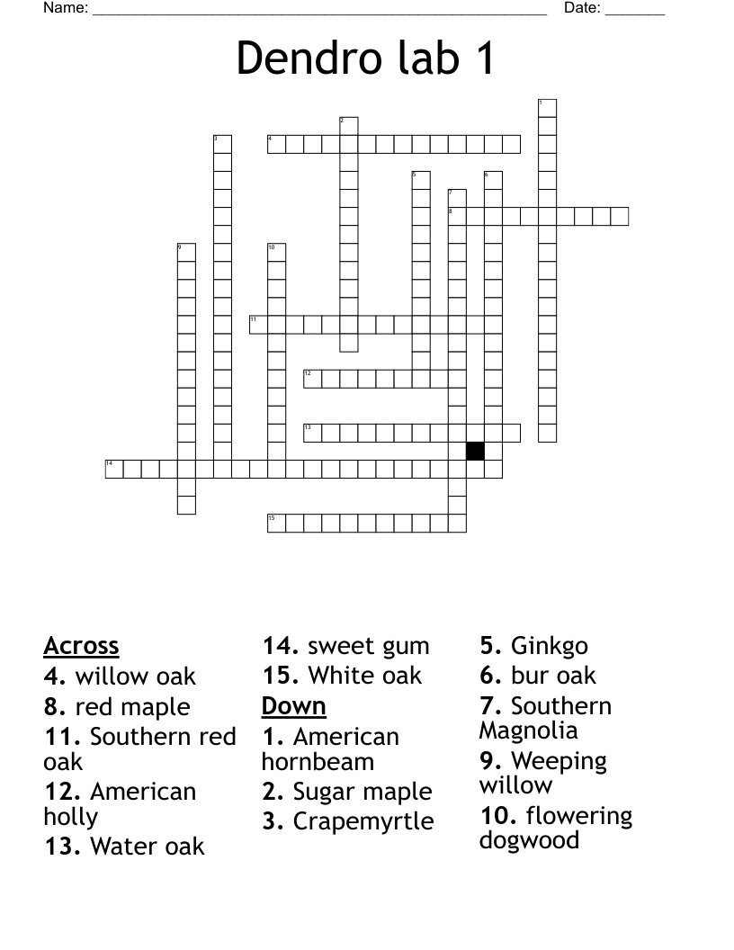 Dendro lab 1 Crossword