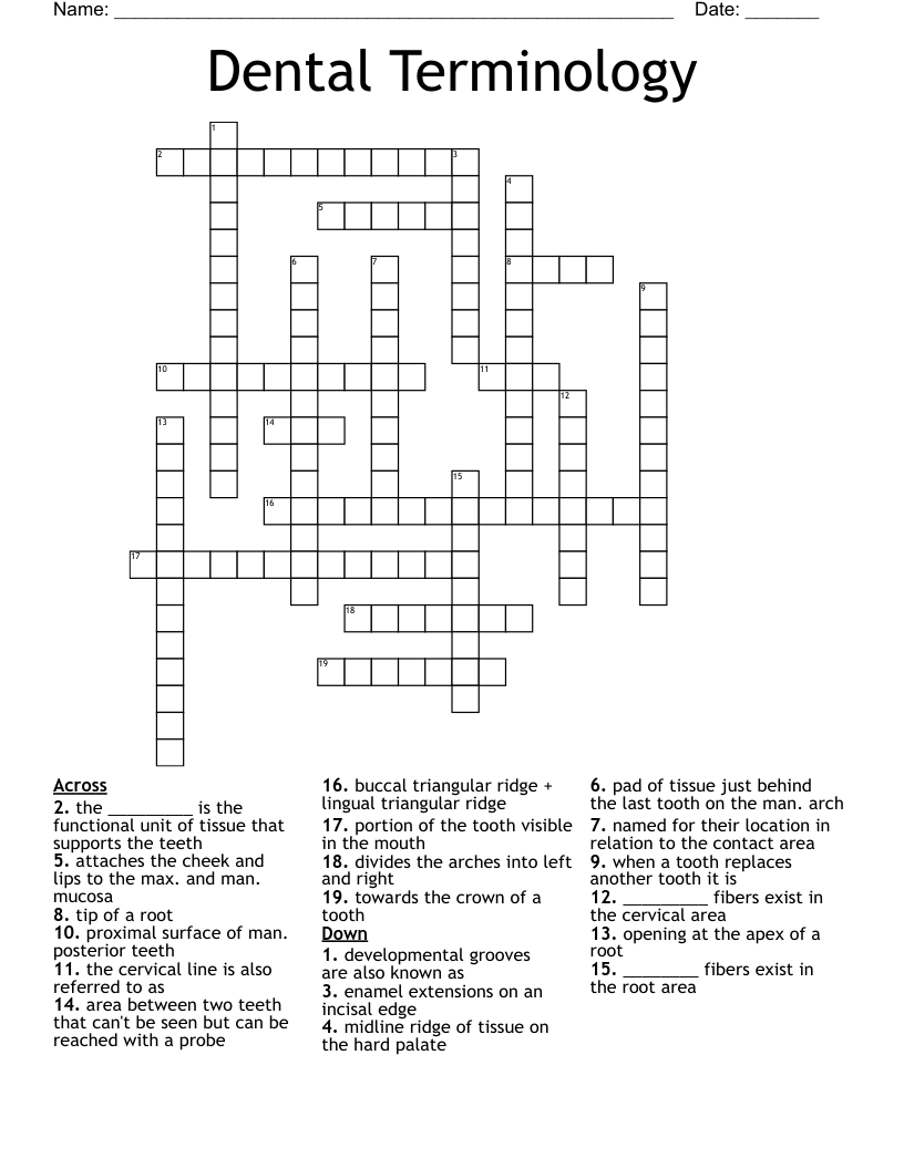 Dental Terminology Crossword