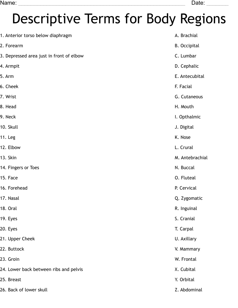 Descriptive Terms for Body Regions Worksheet