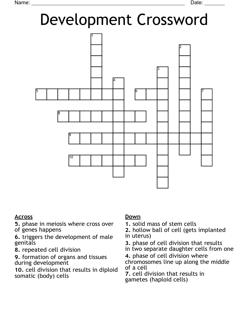 Development Crossword