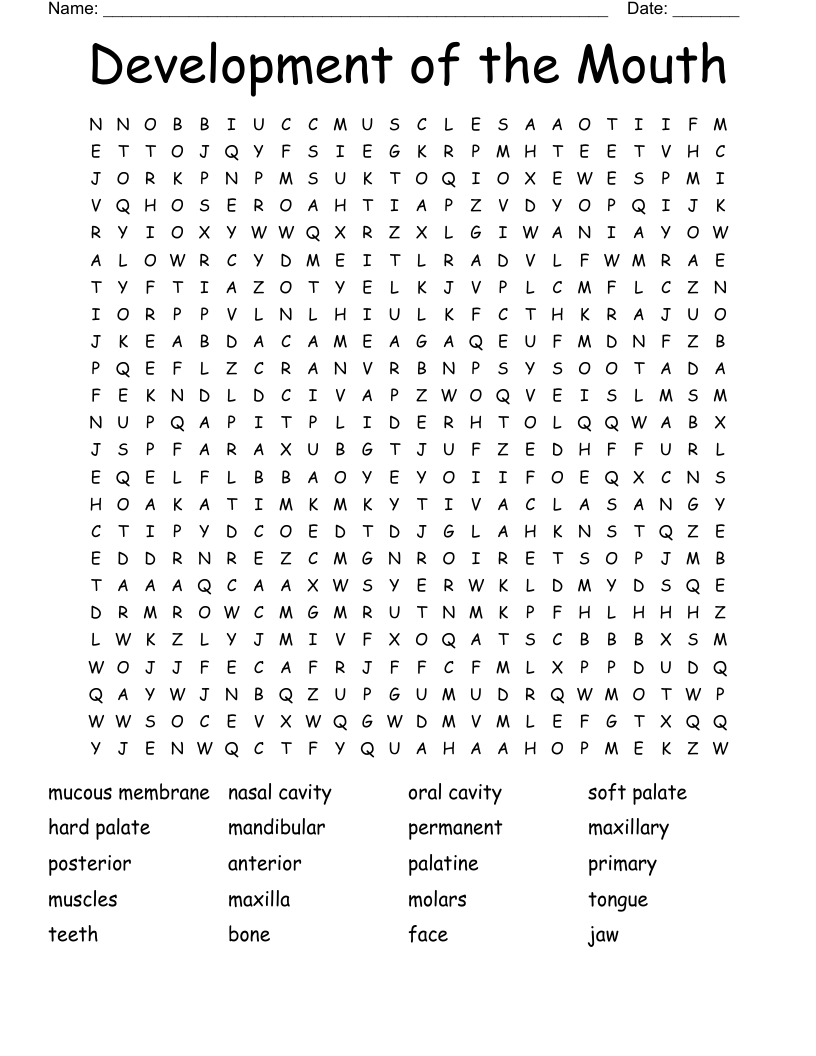 Development of the Mouth Word Search