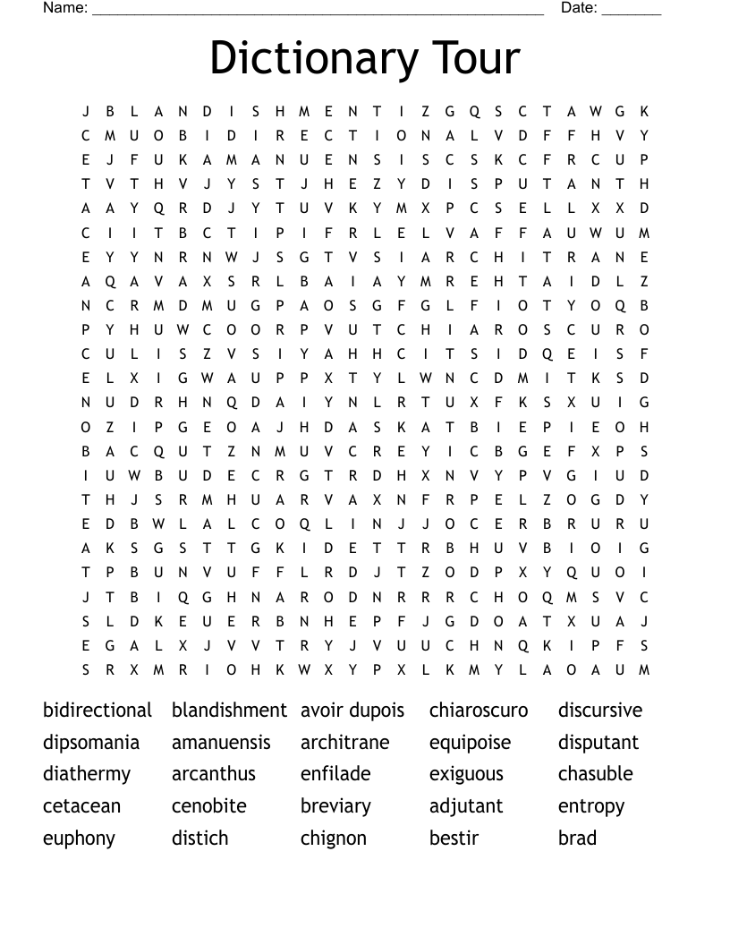 Dictionary Tour Word Search