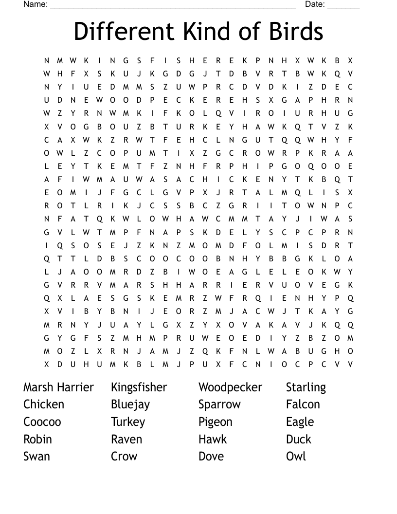 Different Kind of Birds Word Search