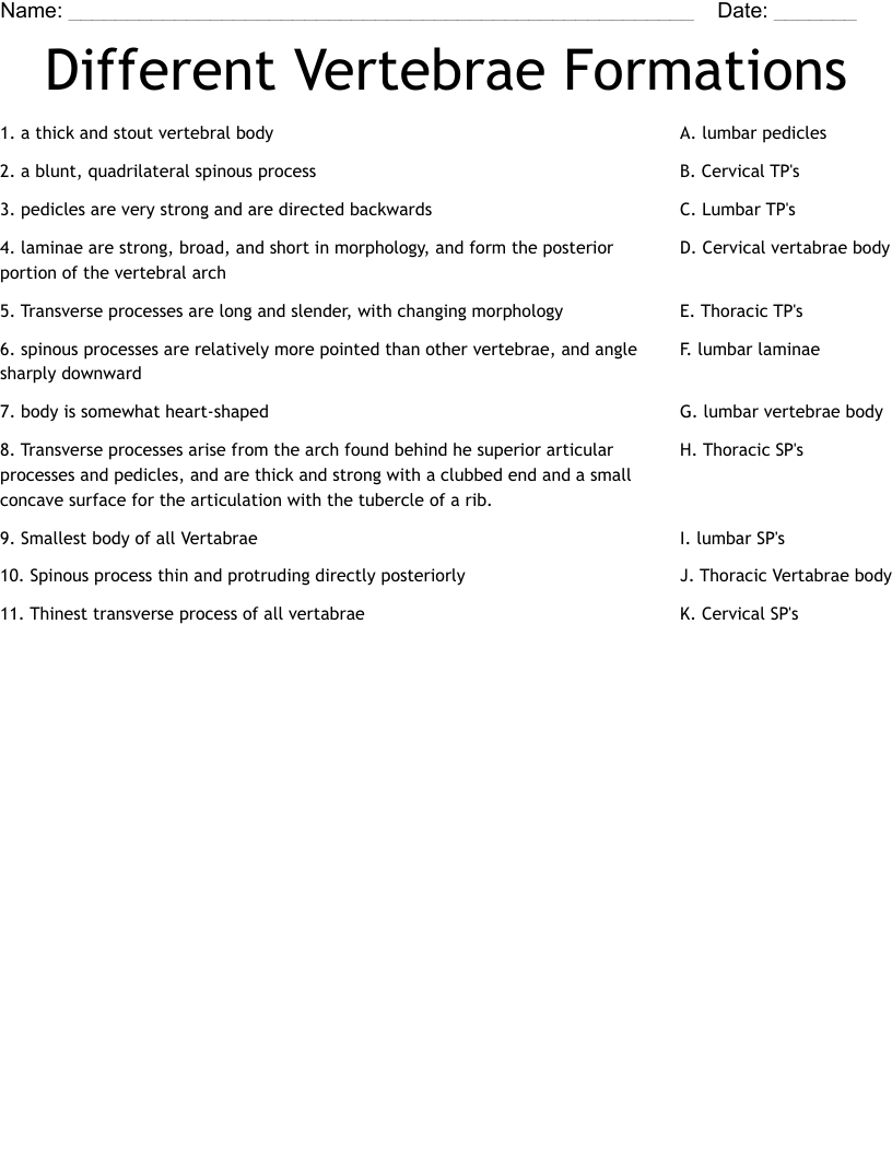 Different Vertebrae Formations Worksheet