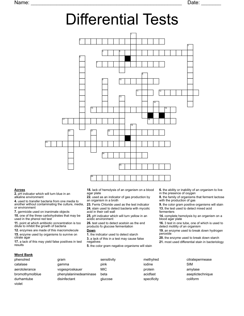 Differential Tests Crossword