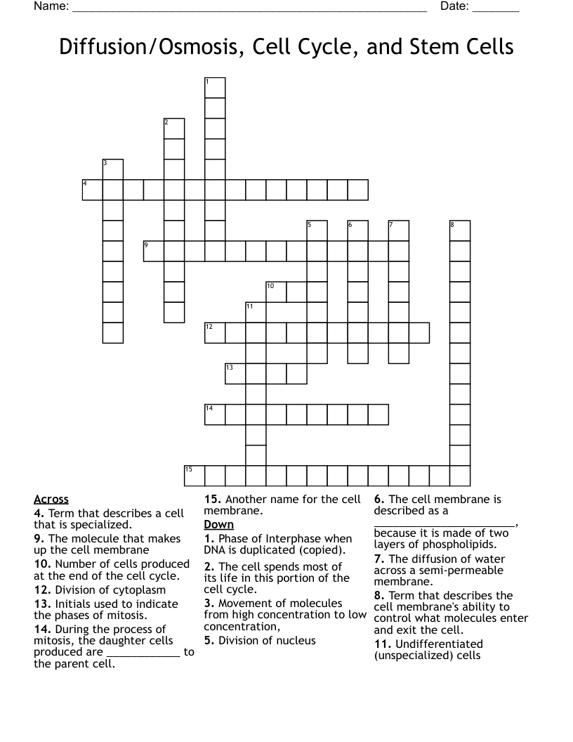 Diffusion/Osmosis, Cell Cycle, and Stem Cells Crossword