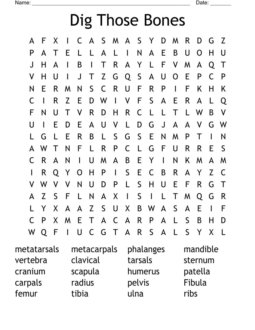 Dig Those Bones Word Search