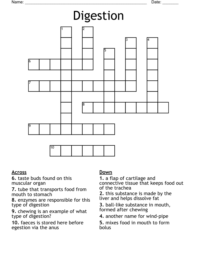 Digestion Crossword
