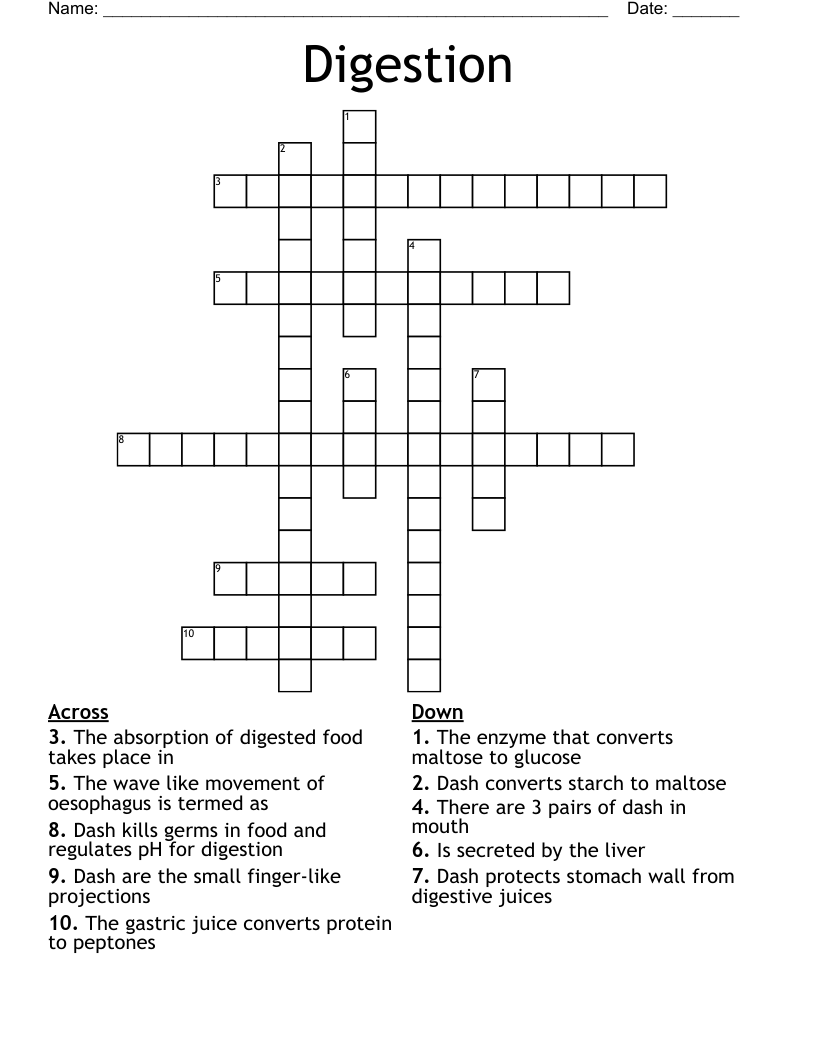 Digestion Crossword