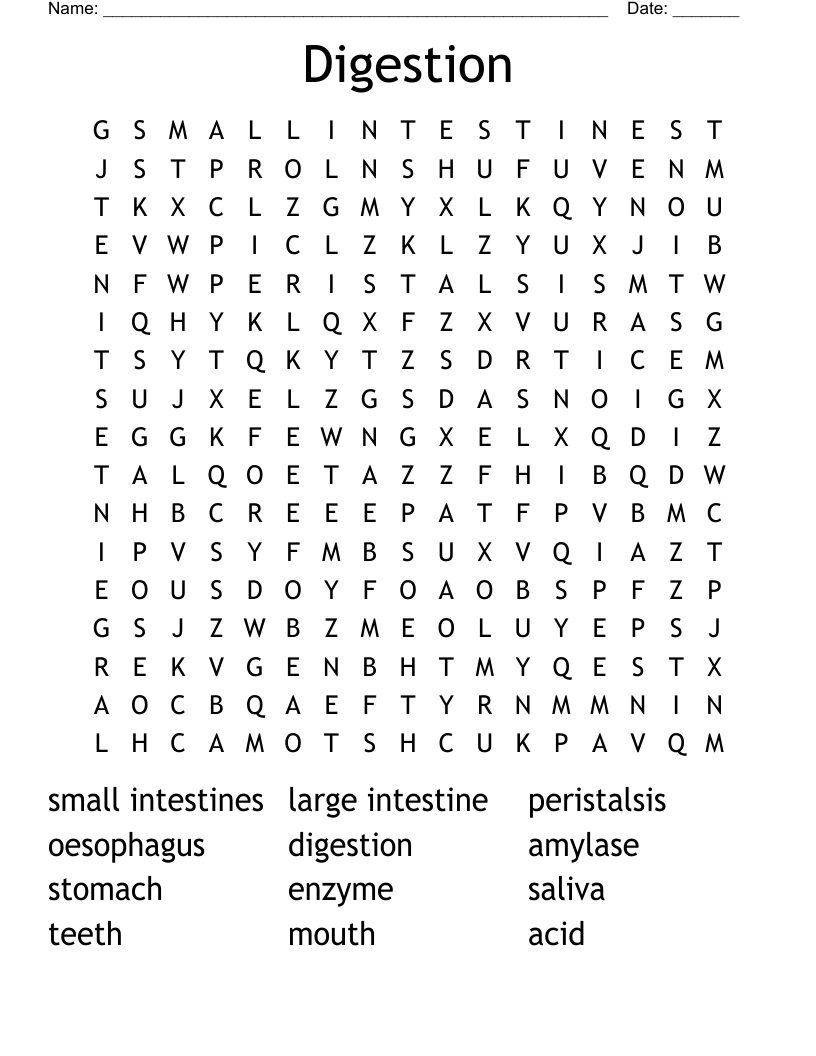 Digestion Word Search