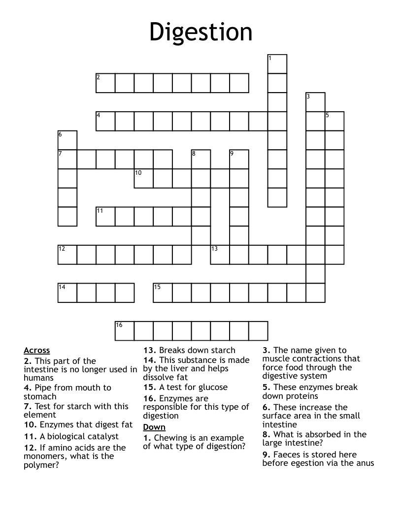 Digestion Crossword