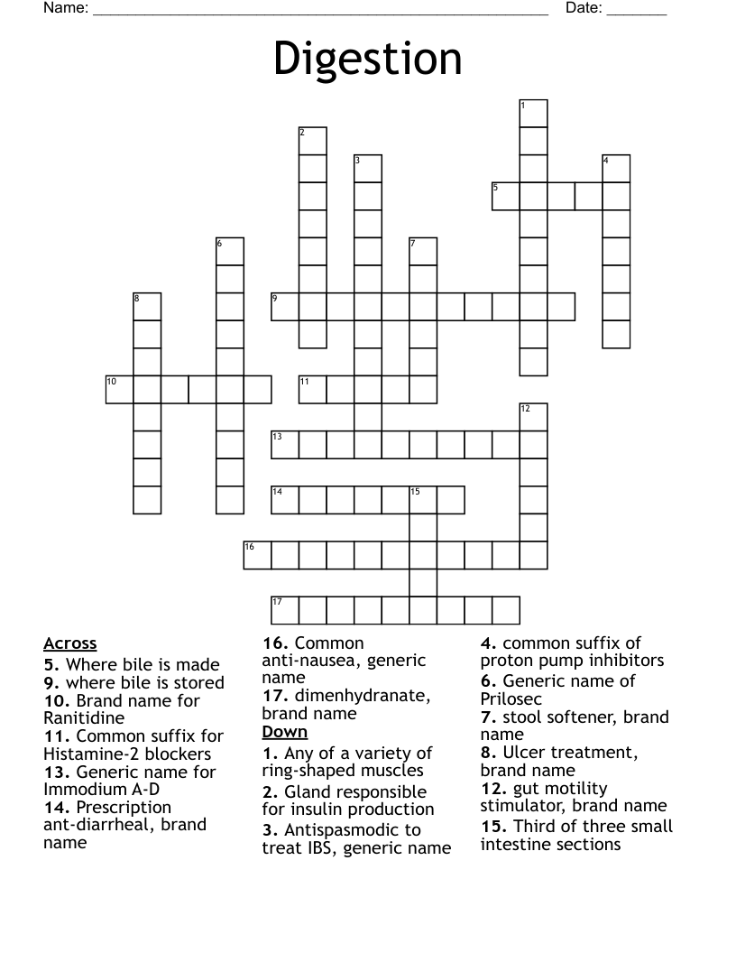 Digestion Crossword