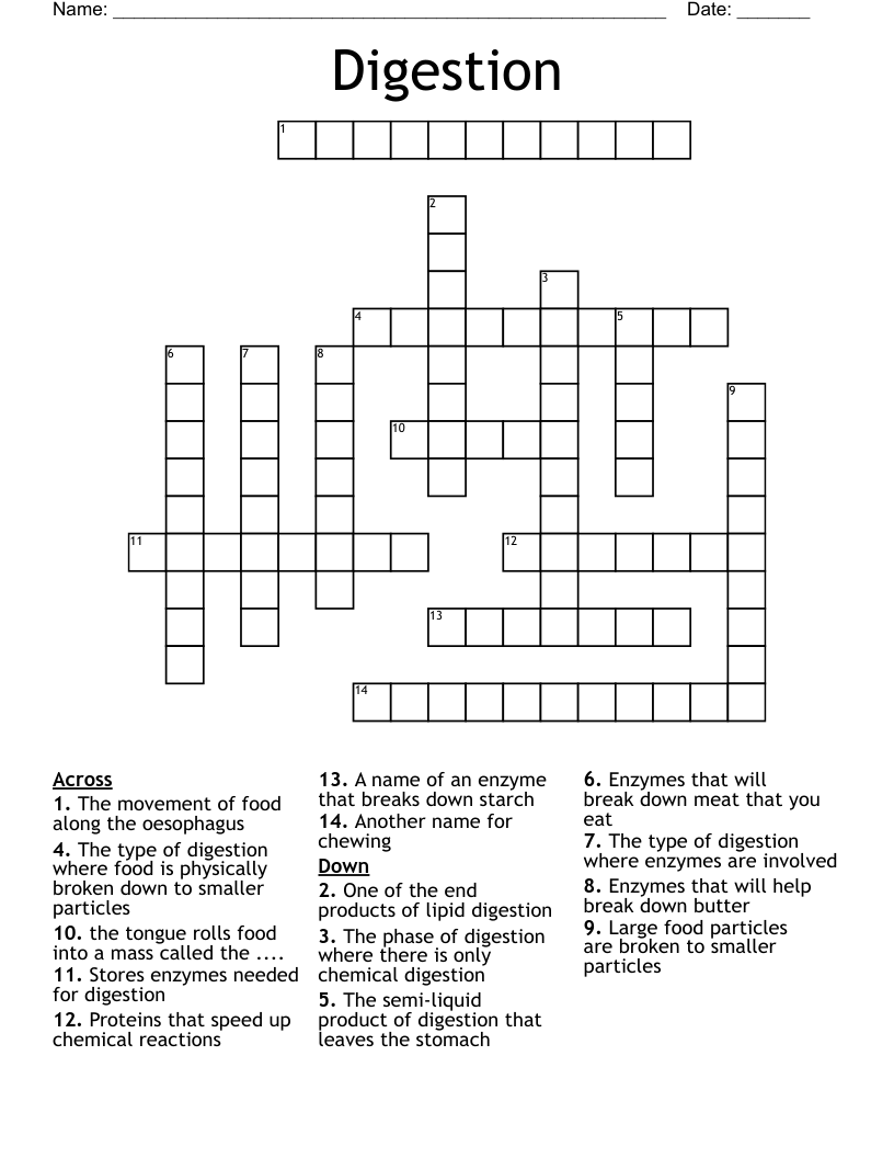 Digestion Crossword
