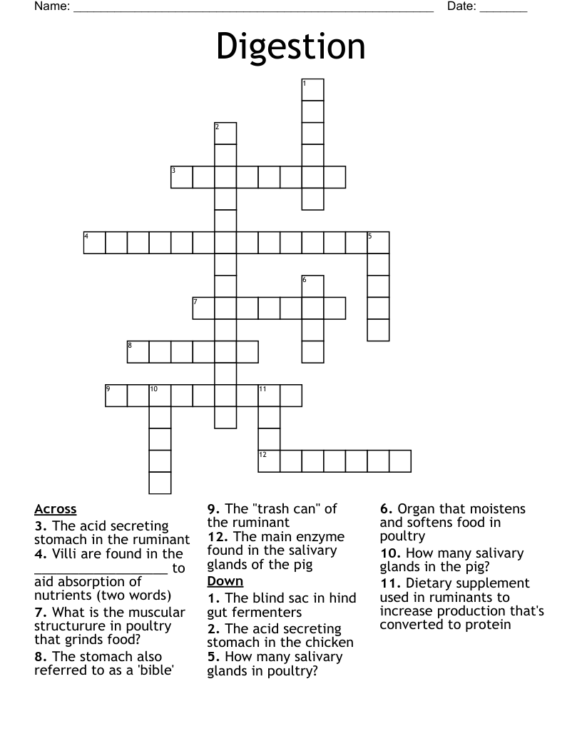 Digestion Crossword