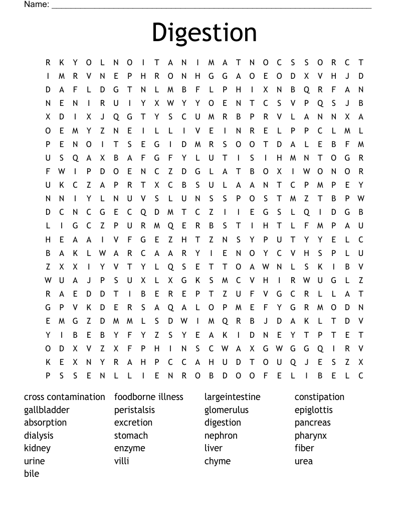 Digestion Word Search