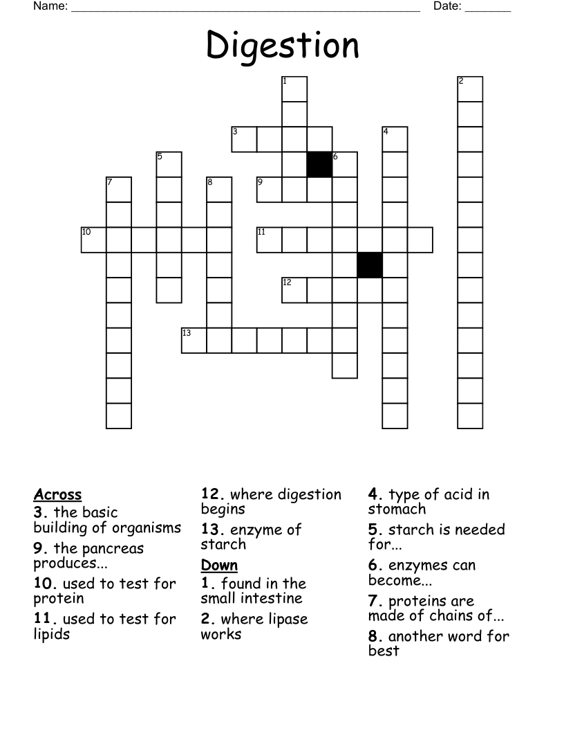 Digestion Crossword