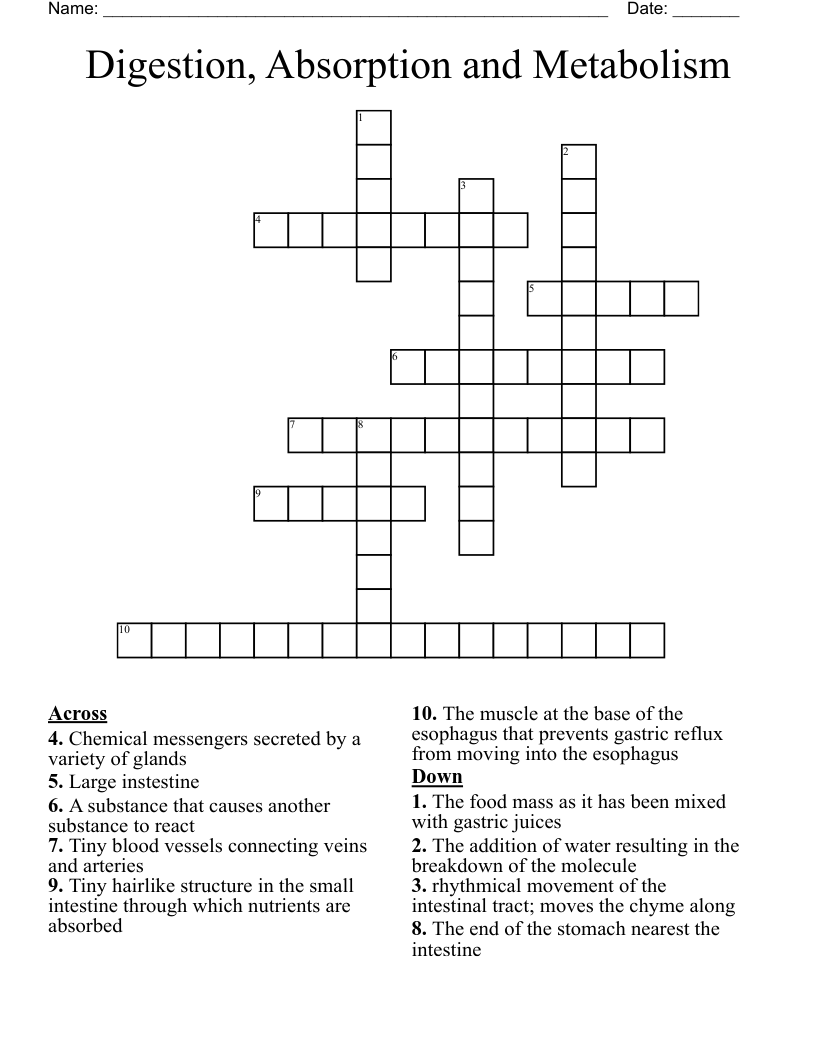 Digestion, Absorption and Metabolism Crossword