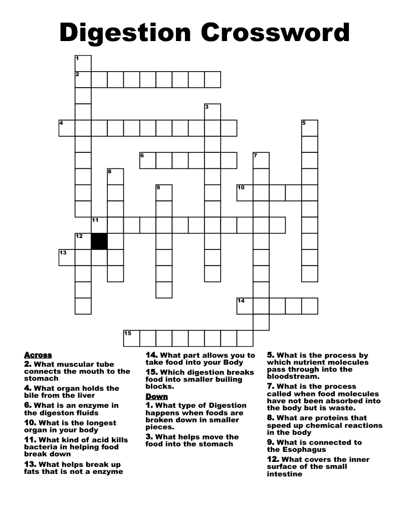 Digestion Crossword