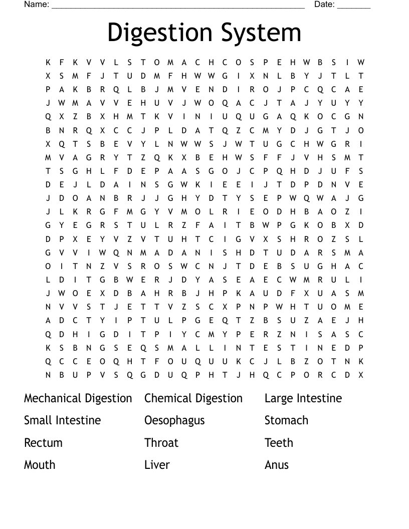 Digestion System Word Search