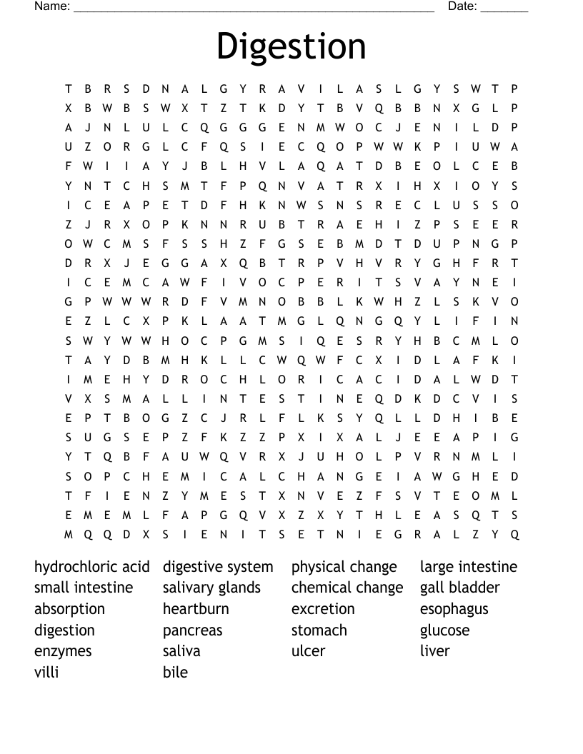 Digestion  Word Search