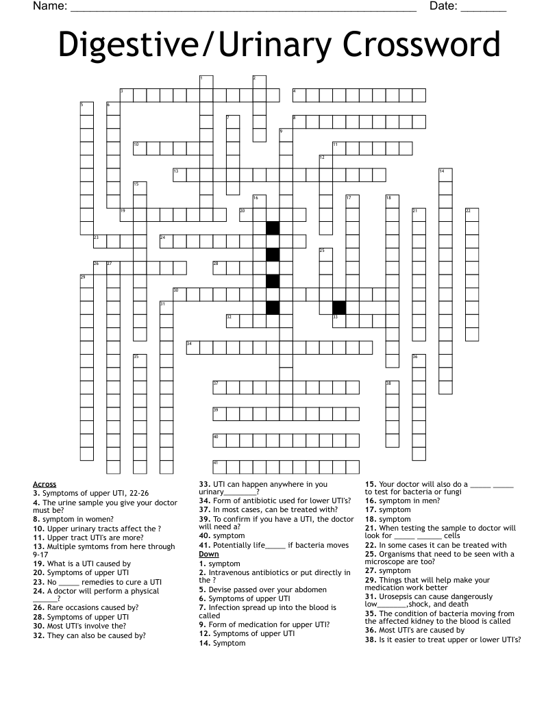 Digestive/Urinary Crossword