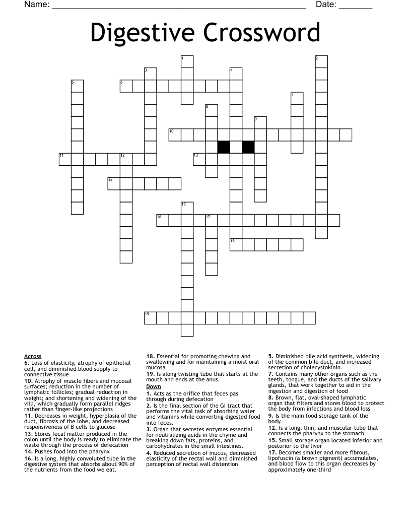 Digestive Crossword