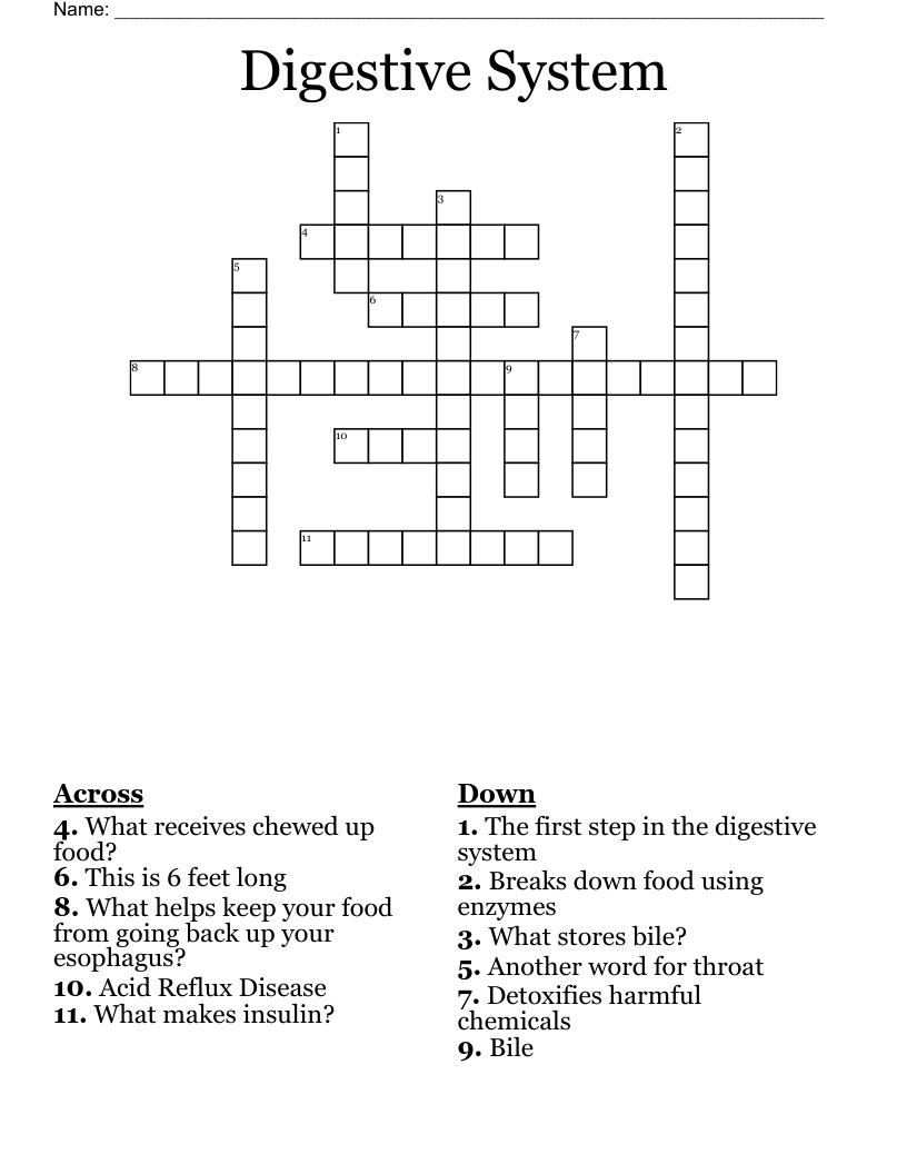Digestive System Crossword