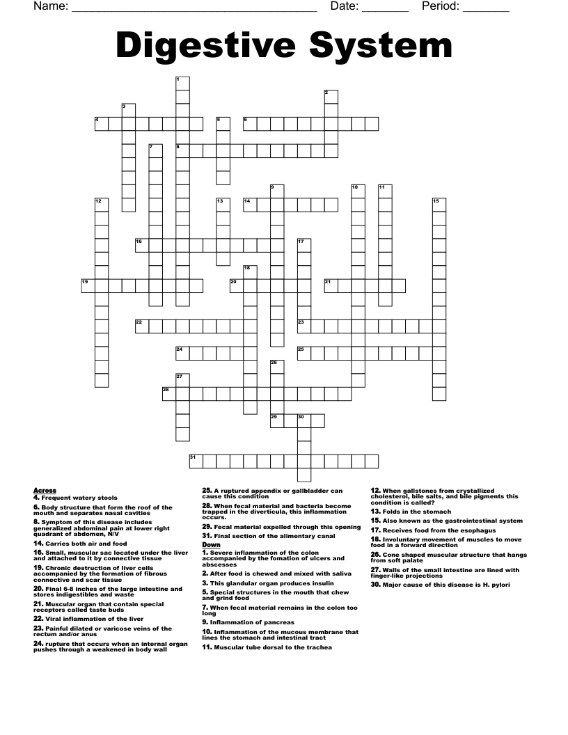 Digestive System Crossword