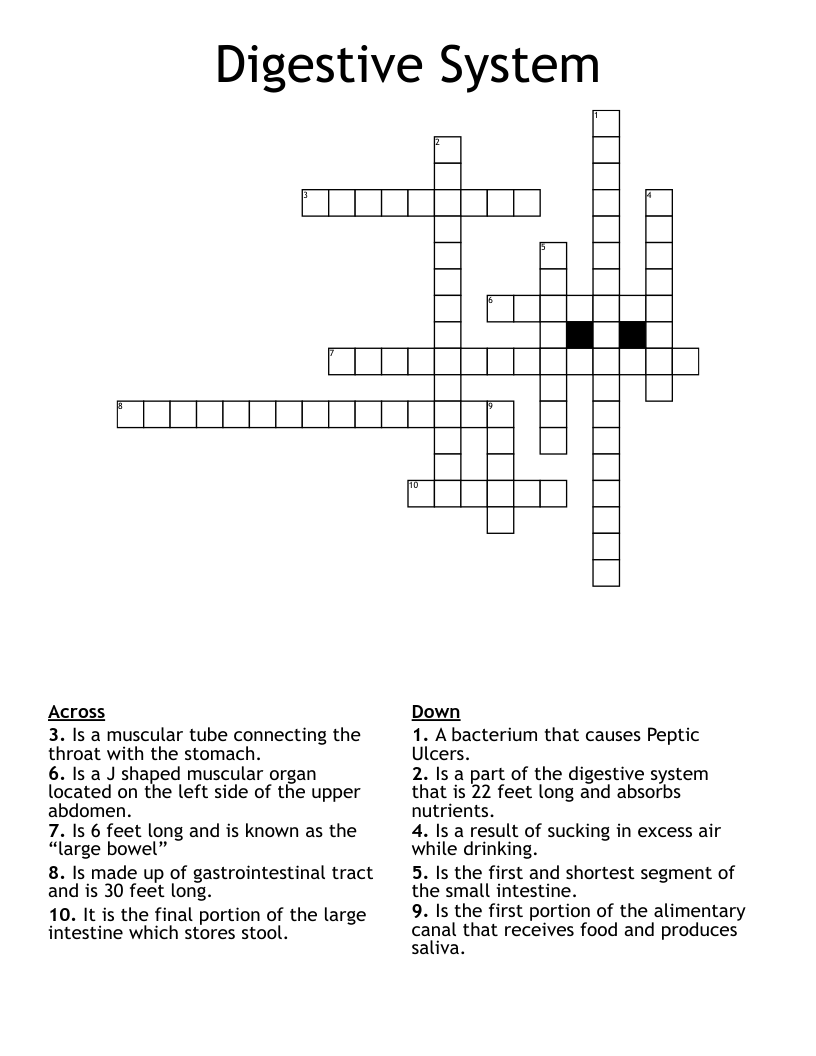 Digestive System Crossword