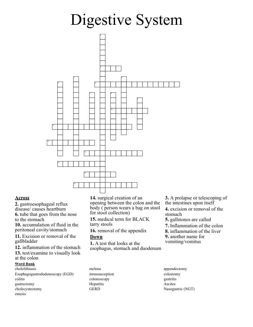 Digestive System Crossword