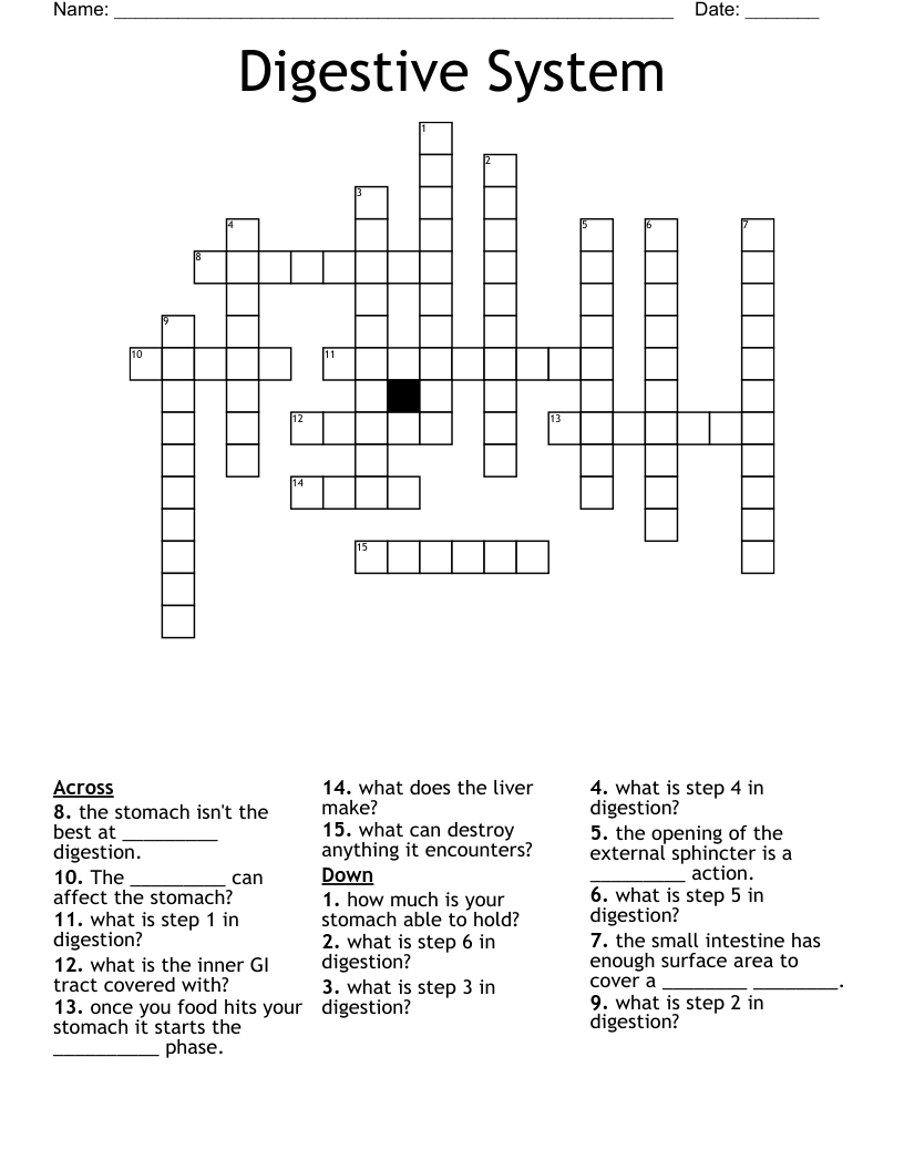 Digestive System Crossword