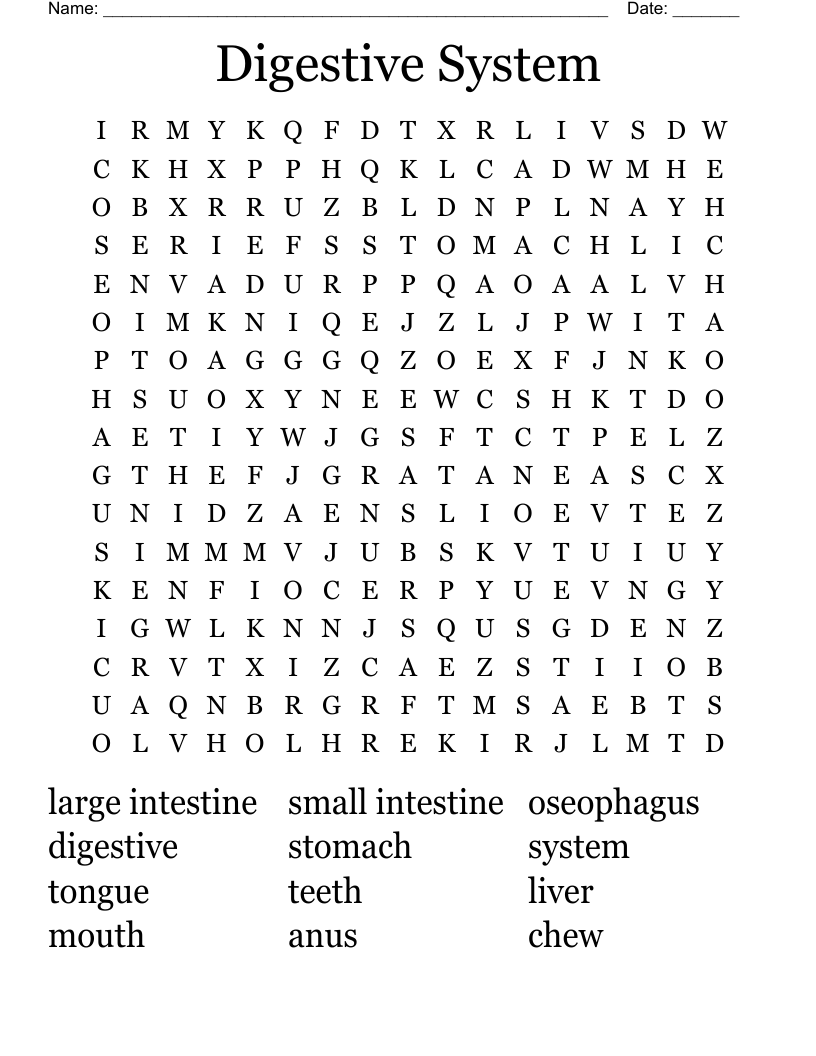 Digestive System Word Search