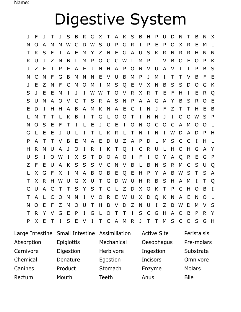 Digestive System Word Search