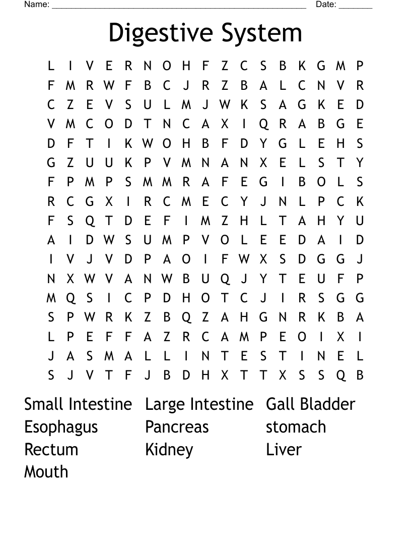 Digestive System Word Search