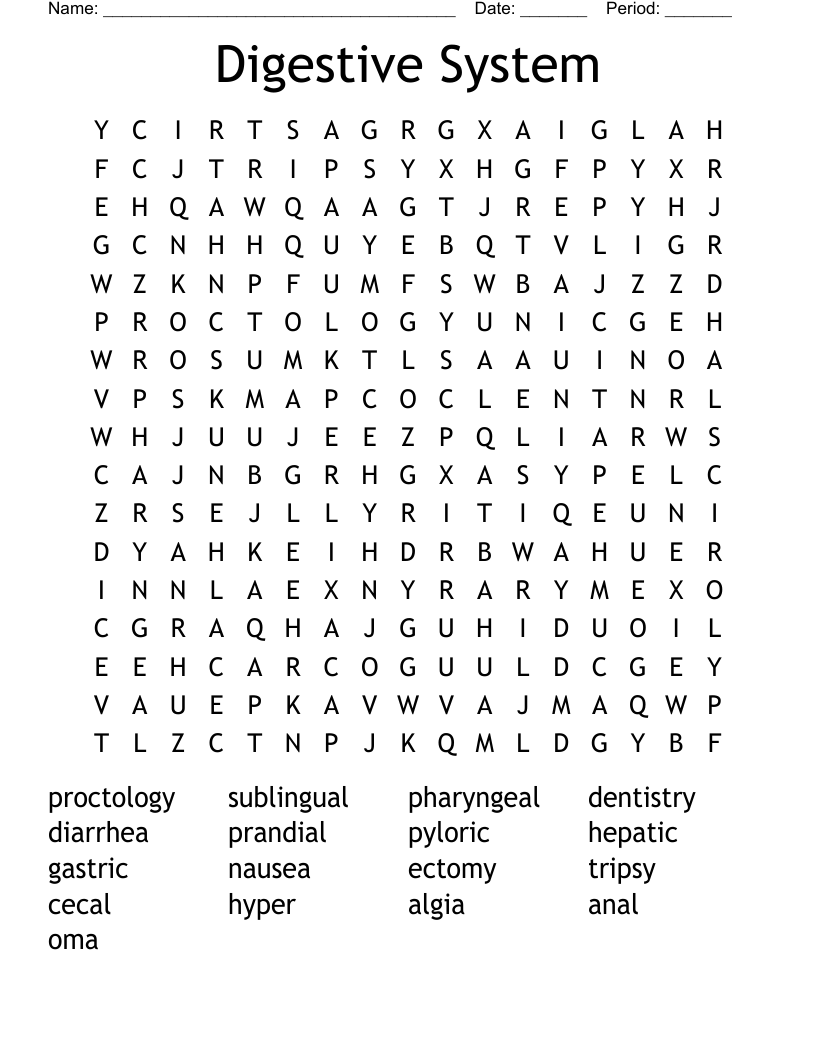 Digestive System Word Search