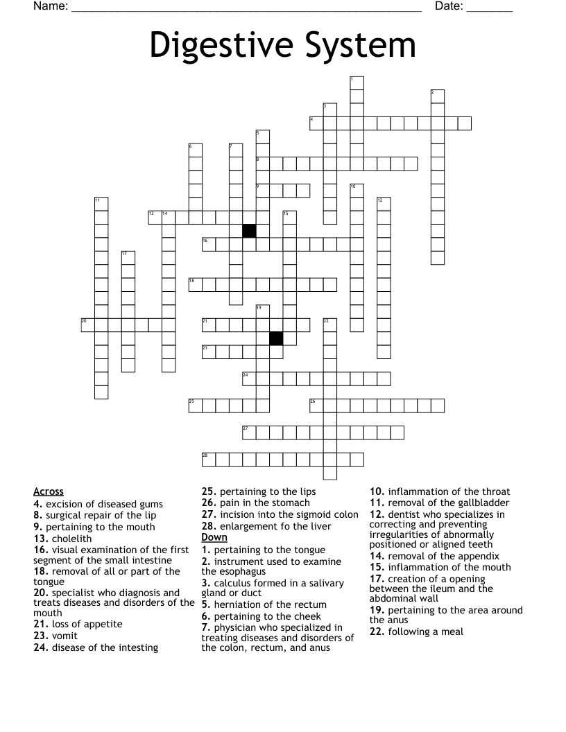 Digestive System Crossword